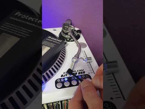 Record carbon fiber needle brush