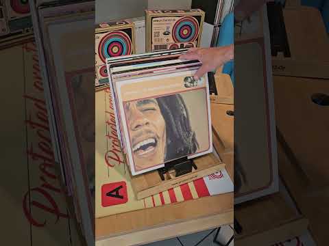 Schallplatten Flip - Selector