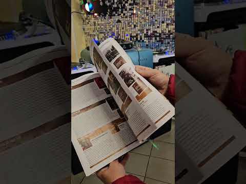 Mint Magazin - Vinyl-Kultur No 79