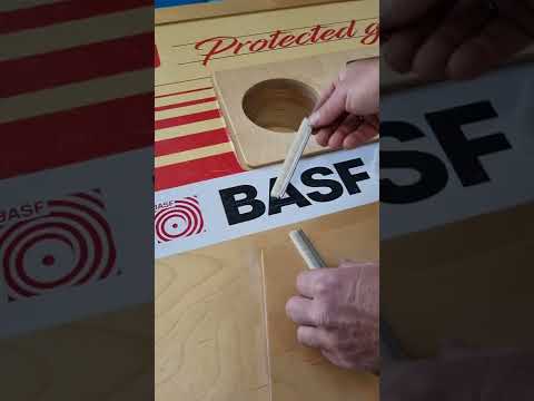 Knosti Disco-Antistat Bürsten (Paar)