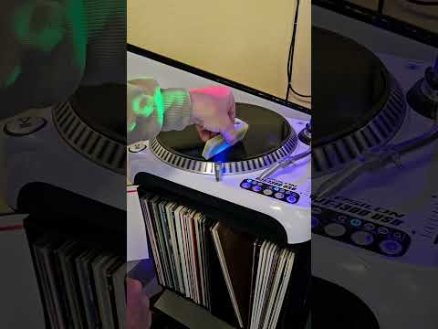 Record carbon fiber brush extendable