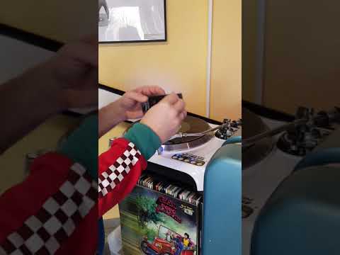 Vinyl record brush with wooden handle